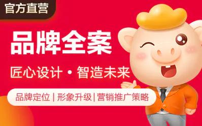 破局与重生 企业品牌创新营销全案策略策划指南